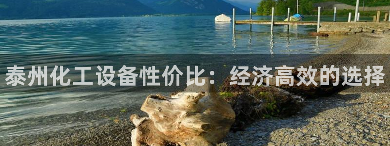 新宝gg手机版登录官网