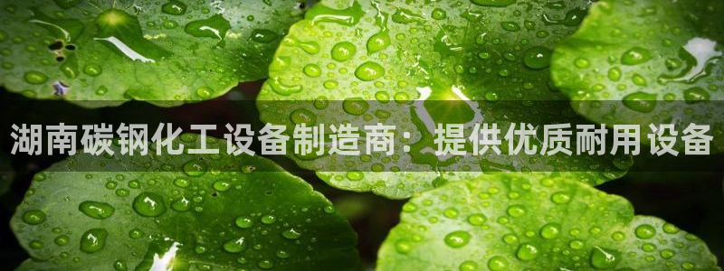 新宝gg注册登录账号