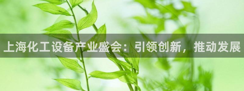 新宝gg创造奇迹登录入口网址