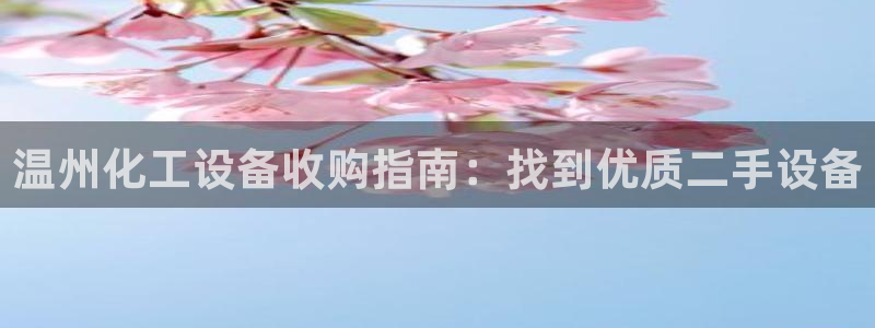 新宝gg创造奇代理加盟