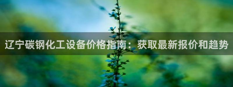 新宝gg创奇迹登录注册