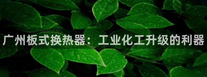 新宝gg创造奇迹登录首页