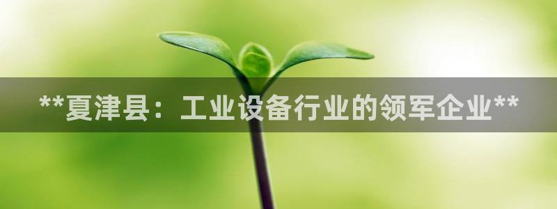 新宝gg创造奇迹平台总代理