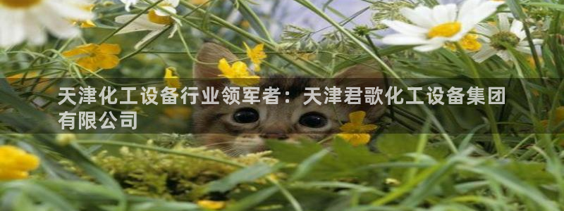 新宝GG民7O777