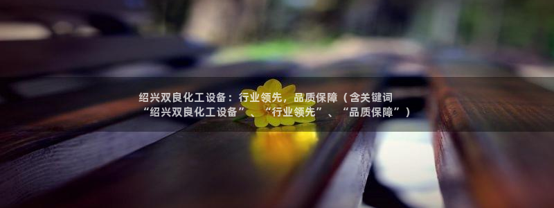 新宝gg创造奇迹怎么登录不上去
