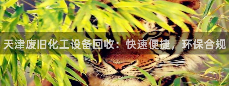 新宝gg怎么退钱：天津废旧化工设备回收：快速便捷，