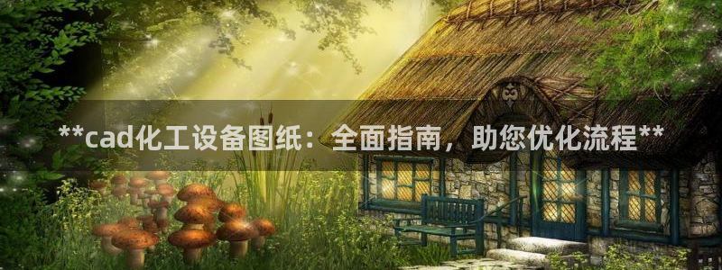 新宝gg奇迹登录怎么登录不了：**cad化工设备图