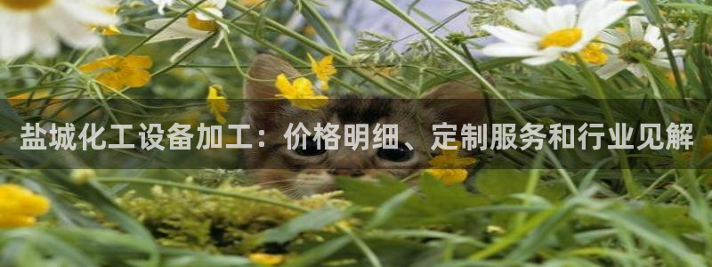 新宝gg一创造奇迹登陆