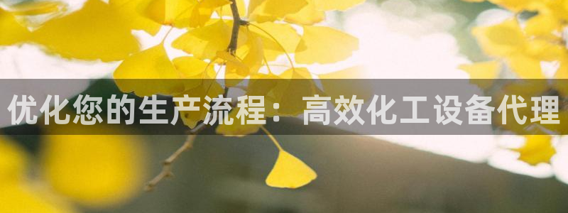 新宝gg创造奇迹登录入口：优化您的生产流程：高效化