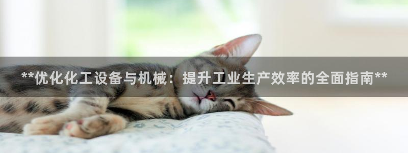 新宝GG创奇迹：**优化化工设备与机械：提升工业生