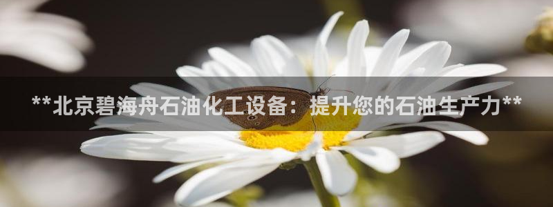 新宝gg—创造奇迹代理注册