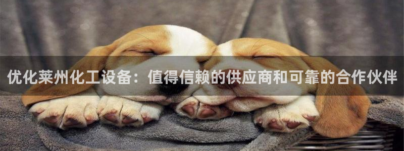 新宝gg—创造奇迹官网登录