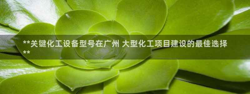 新宝gg一创造奇迹登