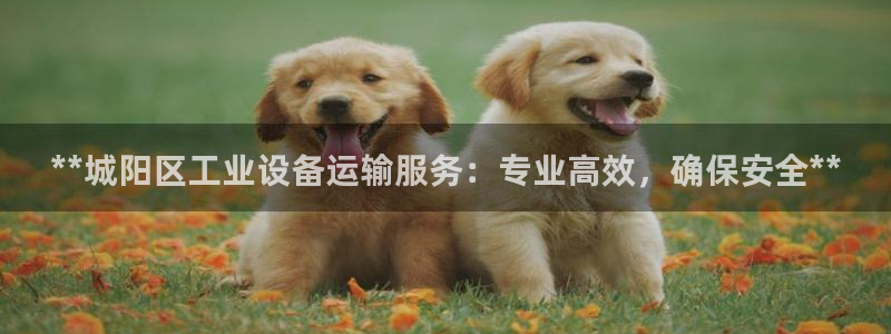 新宝gg创造奇迹平台怎么样