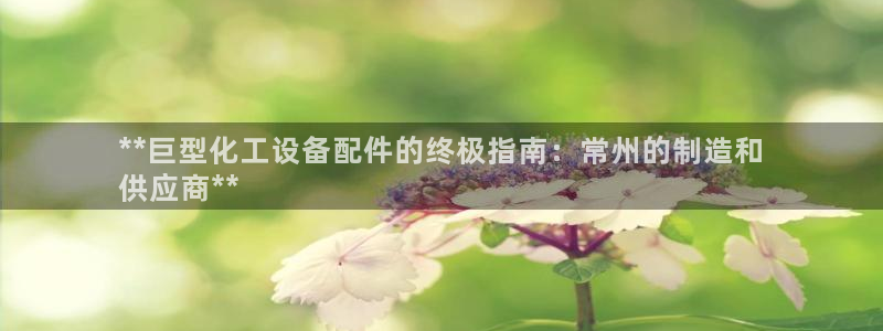 新宝gg最新更新内容与历史回顾
