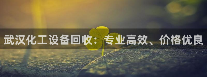 新宝gg创造奇迹平台总代理