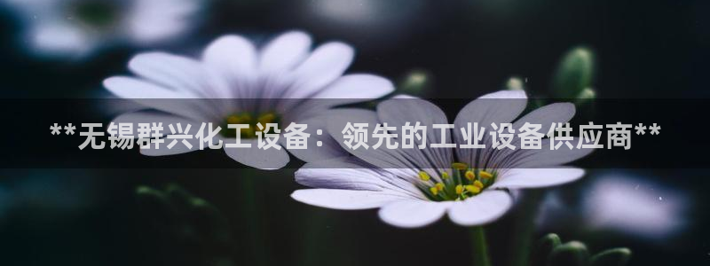 新宝gg平台注册地址