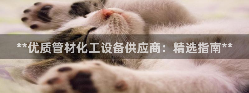 新宝gg官网登录地址