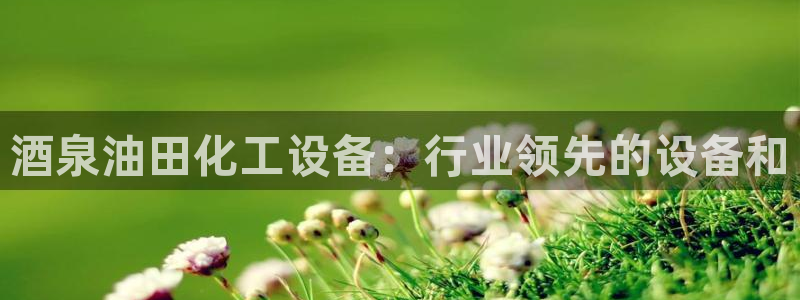 新宝gg一创造奇迹登