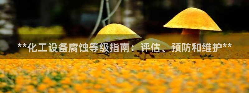 新宝gg登录入口
