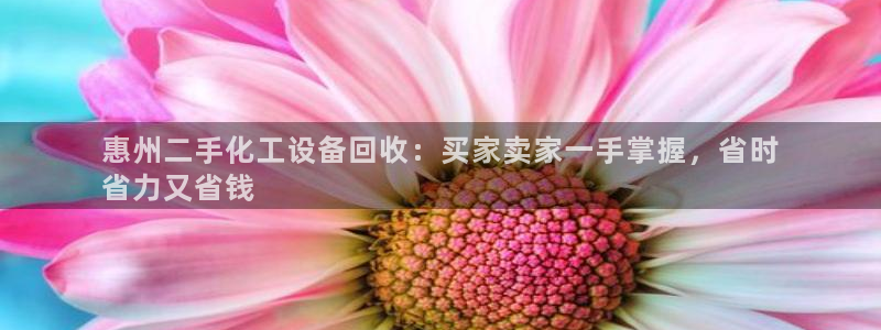 新宝gg手机版登录官网