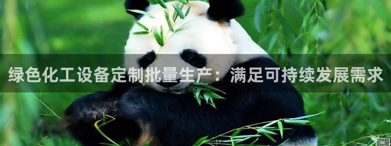 新宝GG平台开户：绿色化工设备定制批量生产：满足可