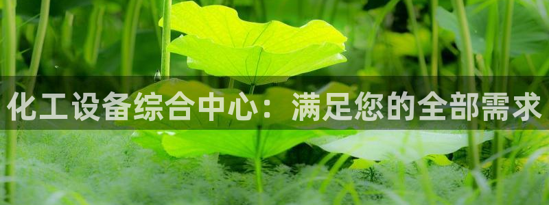 新宝gg5一创造奇迹代理：化工设备综合中心：满足您