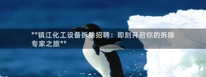 新宝gg：**镇江化工设备拆除招聘：即刻开启你的拆