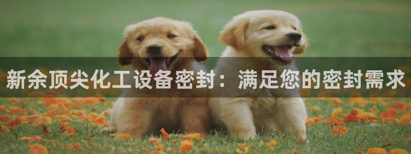 新宝gg奇迹登录