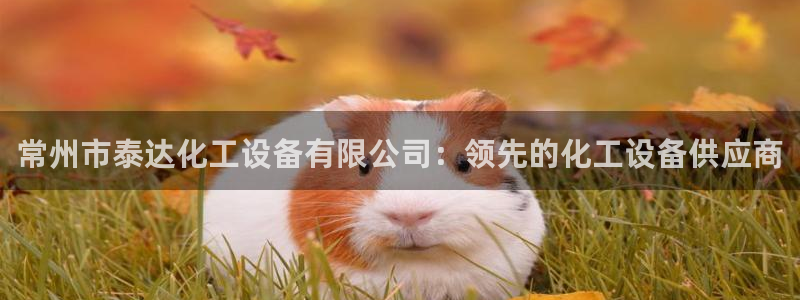 新宝gg一创造奇迹登陆新：常州市泰达化工设备有限公司：领先的