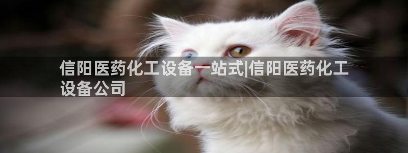 新宝gg平台—创造奇迹登录