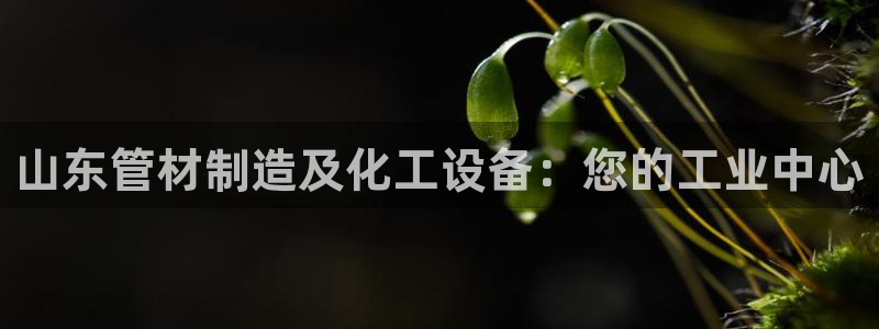 新宝gg创造奇迹平台登录入口