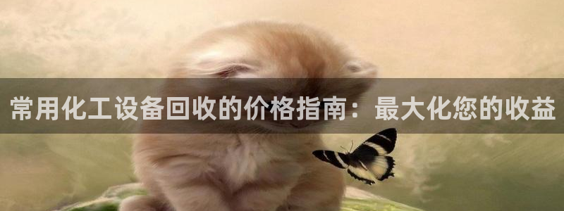 新宝gg一键登录