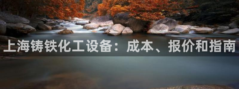 新宝gg创造奇迹手机登录：上海铸铁化工设备：成本、
