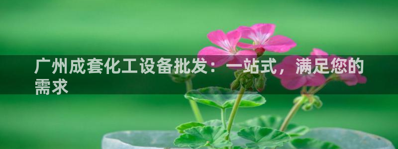 新宝gg创造奇迹登录注册入口