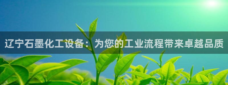 新宝GG平台开户