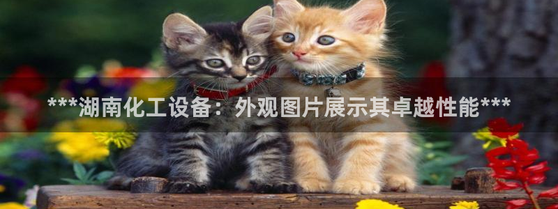 新宝gg平台注册