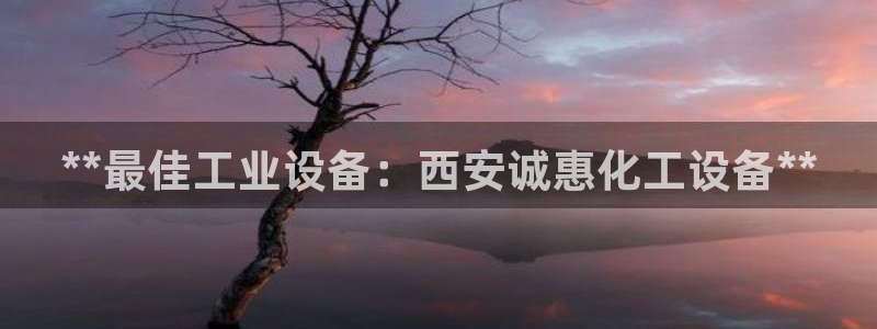 新宝gg一创造奇迹登陆新：**最佳工业设备：西安诚
