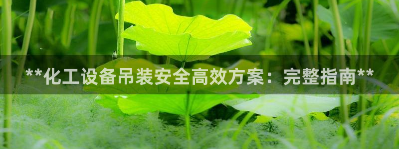 新宝gg创造奇迹登录首页：**化工设备吊装安全高效