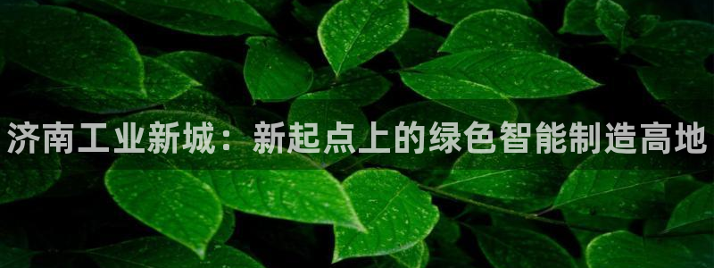 新宝gg手机版登录官网：济南工业新城：新起点上的绿