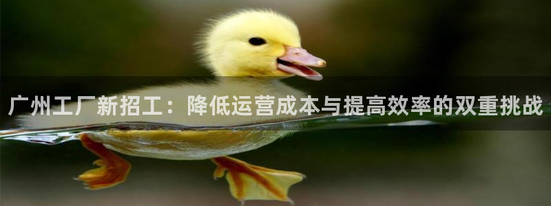 新宝gg售后人工客服电话