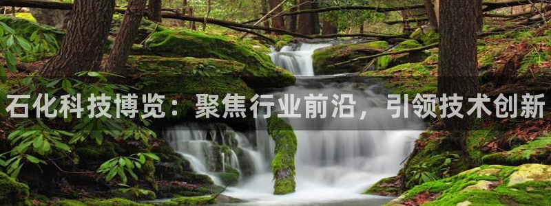 新宝gg创造奇奇迹