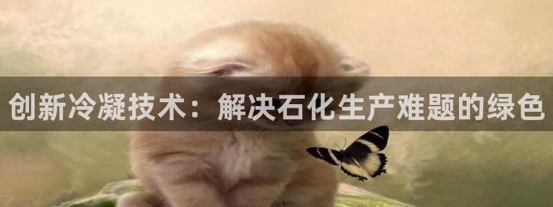 新宝gg登录不了是什么原因