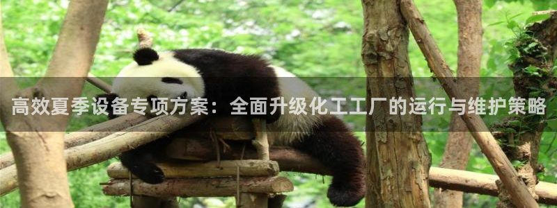 新宝gg—创造奇迹登录官网：高效夏季设备专项方案：