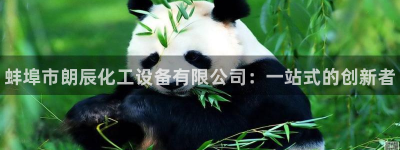 新宝gg创造奇迹登录入口