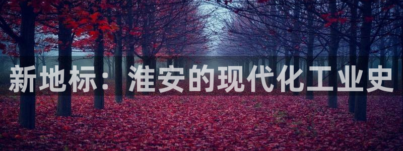 新宝gg为什么登不上去了