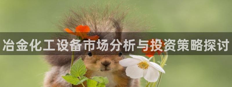 新宝gg1956注册地址：冶金化工设备市场分析与投资策略探讨