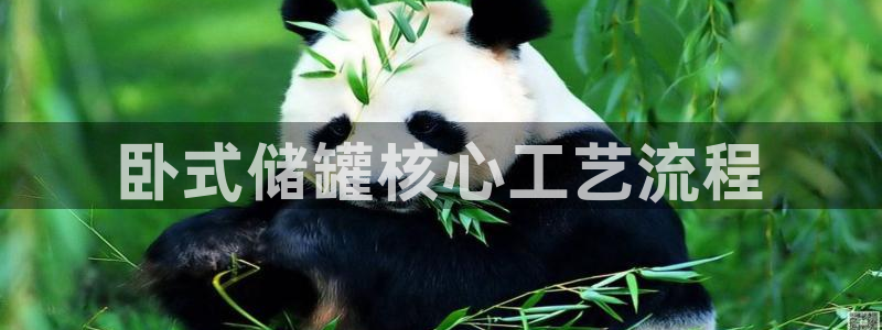 新宝gg创造奇迹平台总代理