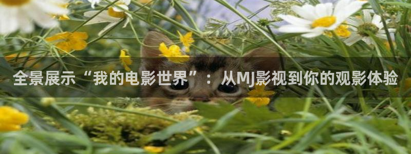 韩国电影天空：全景展示“我的电影世界”：从MJ影视到你的观影体验