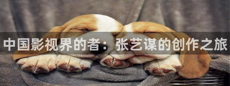 缘分下的天空电视剧：中国影视界的者：张艺谋的创作之旅